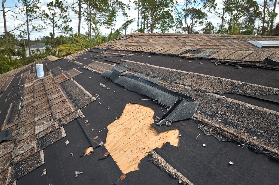 storm damage roof repair in Paragould, AR